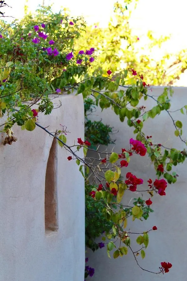 Riad Agnes Et Zohra Marrakesh